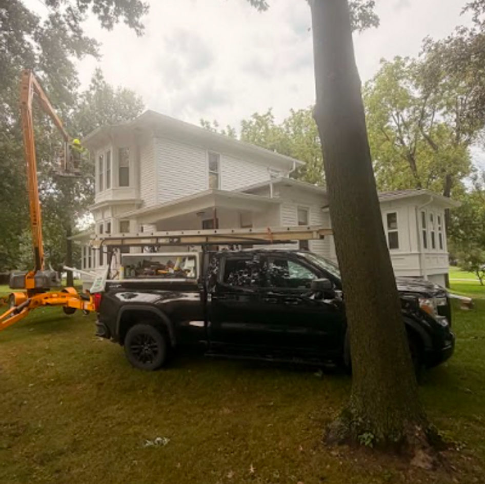 B&B Bat Removal wildlife work photo