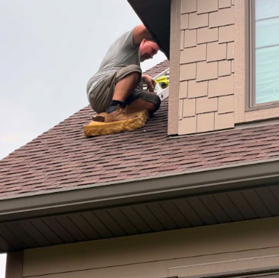 B&B Bat Removal wildlife work photo