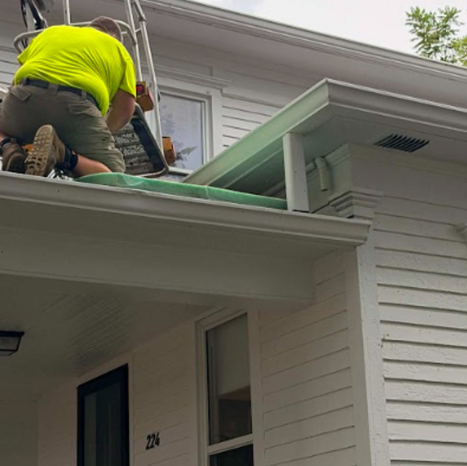 B&B Bat Removal wildlife work photo