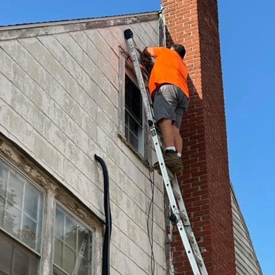B&B Bat Removal wildlife work photo