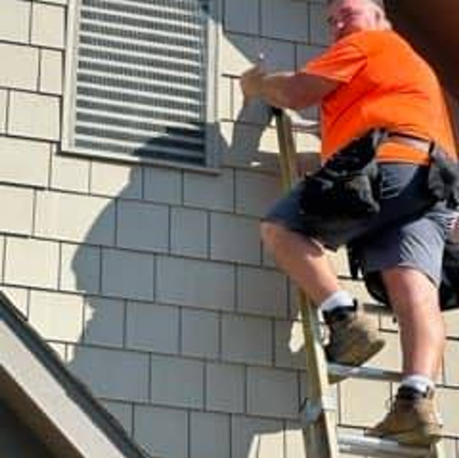 B&B Bat Removal wildlife work photo