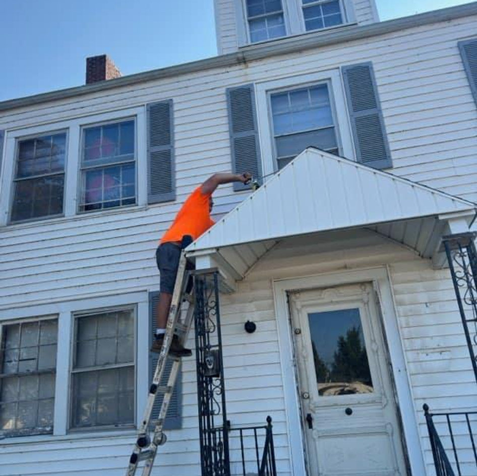 Wildlife removal project photo